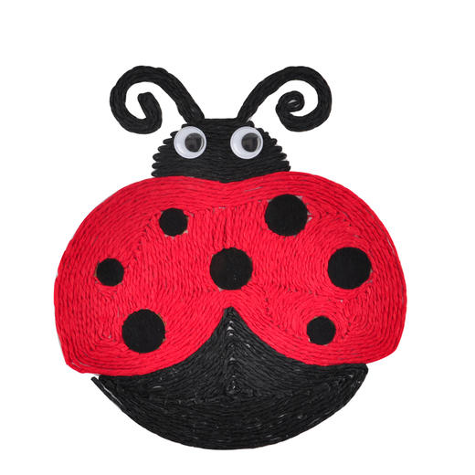 幼儿园课堂手工DIY创意手工绕线瓢虫材料包 商品图10