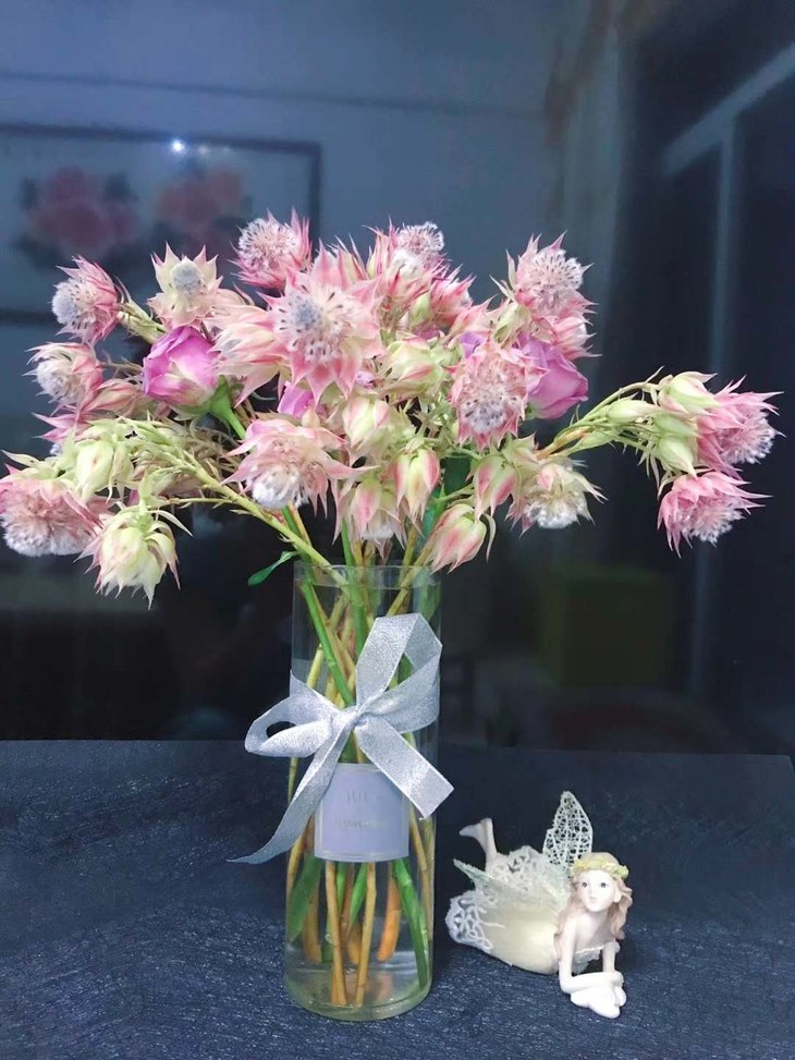 品质进口花/粉色新娘花,澳梅混搭