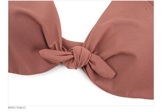 【泳衣】*新款少女复古格子豆沙红性感小胸聚拢高腰遮肚显瘦分体泳衣女 商品图2