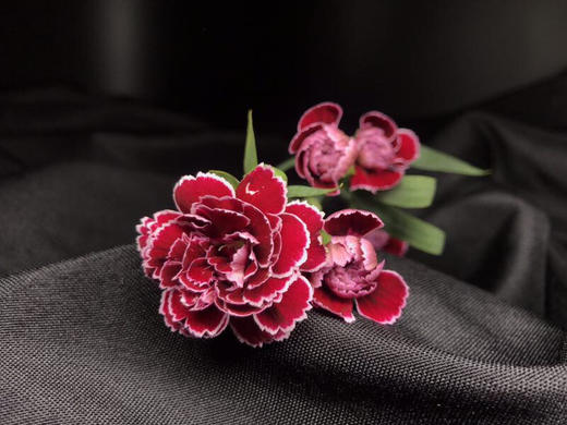 y莫艳10支装多头康乃馨多丁紫蝴蝶a级