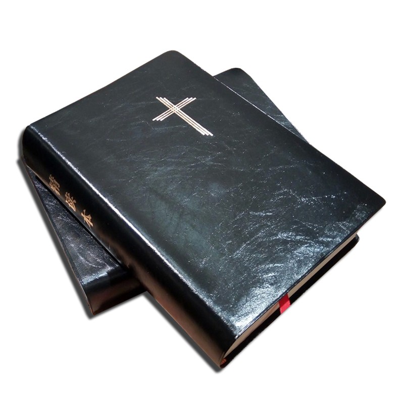 25开精读本圣经注释本新旧约全书和合本中文简体字版