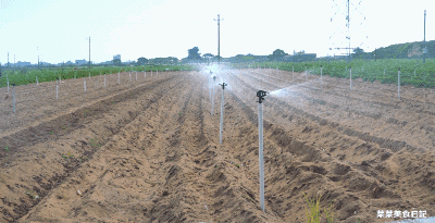 400_205gif 动态图 动图