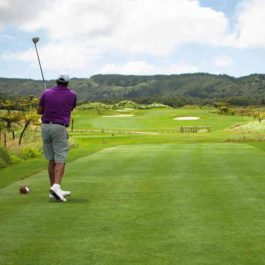 NO.6 阿瓦隆高尔夫俱乐部 Avalon Golf Estate Golf Course|  毛里求斯高尔夫球场 俱乐部 商品图1