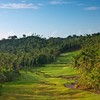 全球最贵的私人岛屿之一：斐济劳萨拉岛高尔夫度假村 Fiji Laucala Island Golf Course | 斐济高尔夫球场 俱乐部 商品缩略图3