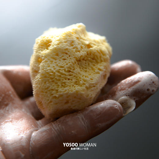 【预售年后发货】地中海天然野生海绵 洗脸神器 安全无毒 婴幼儿孕妇
