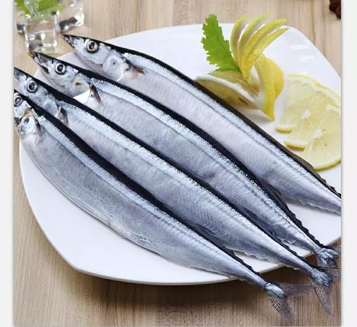 秋刀鱼 (竹刀鱼)(冰鲜)