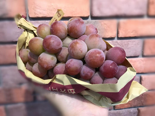 红宝石玫瑰提子一盒5斤装