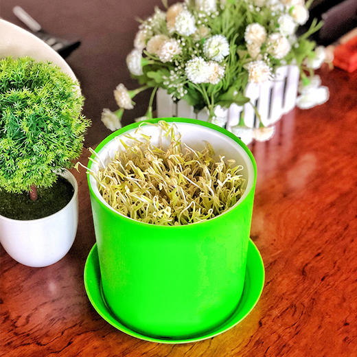 升级版豆芽罐 商品图1