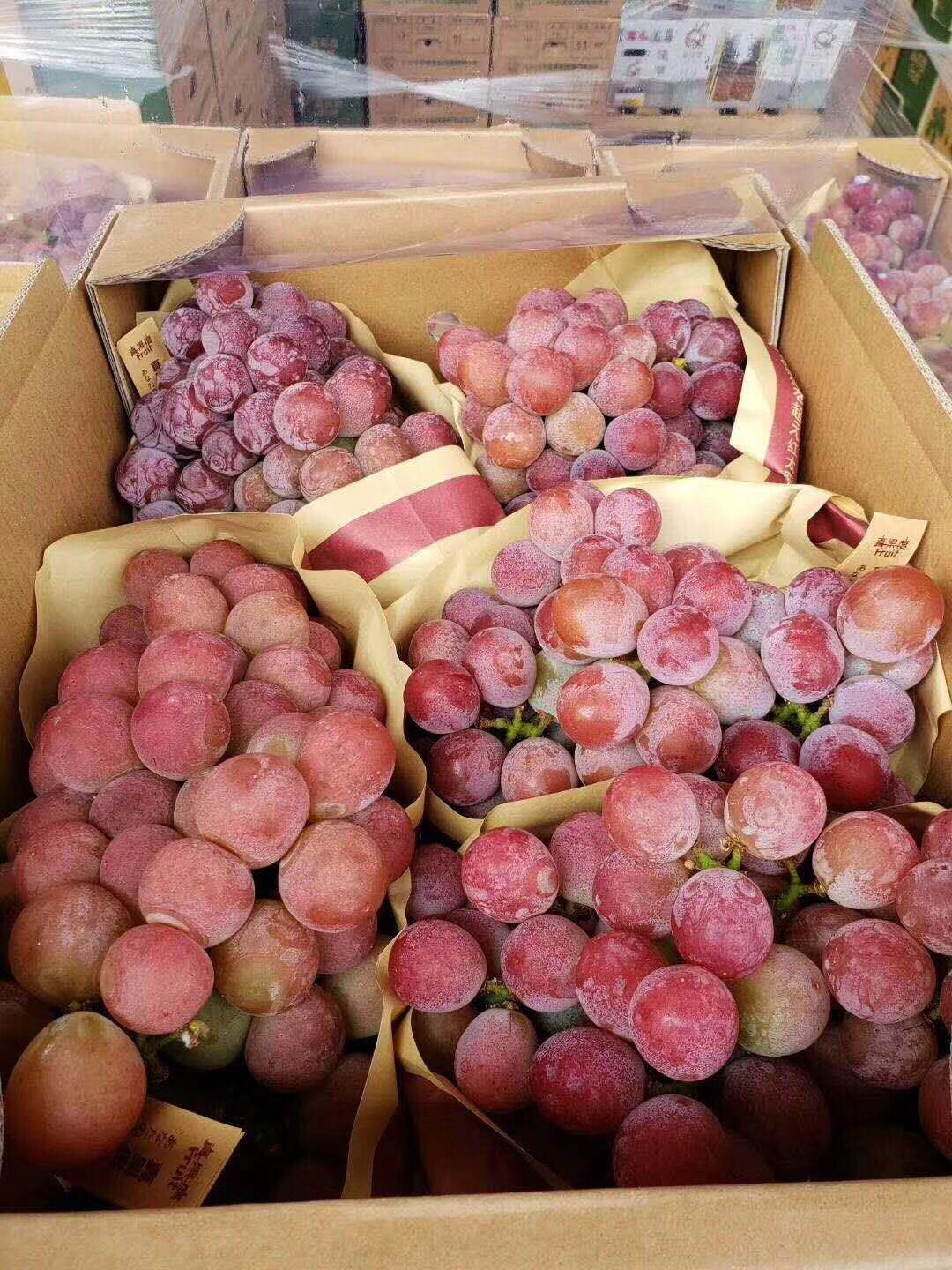 红宝石玫瑰提子一盒5斤装