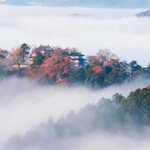 （下架）11月 | 日本松山温泉红叶高尔夫之旅 | 一年就一次 | 含机票 商品图5