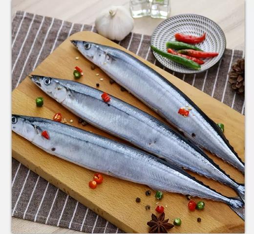 秋刀鱼 (竹刀鱼)(冰鲜)