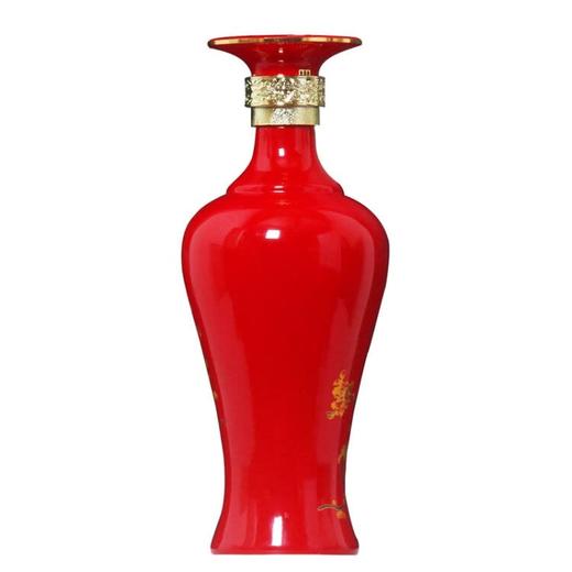 泸州窖酒（新淡雅） 商品图2