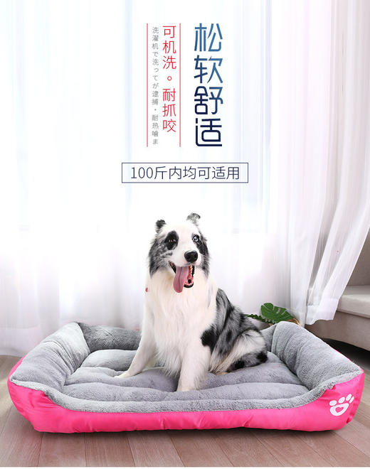 【宠物用品  】 糖果色泰迪宠物窝中小型犬狗床猫窝金毛狗狗窝 商品图0