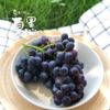 【仅供上海】东方黑珍珠 南汇夏黑葡萄 商品缩略图1