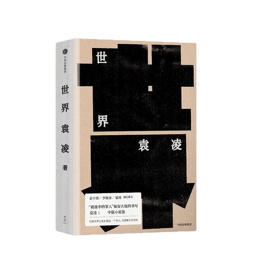 世界 袁凌 著 中信出版社图书 正版书籍 商品图0
