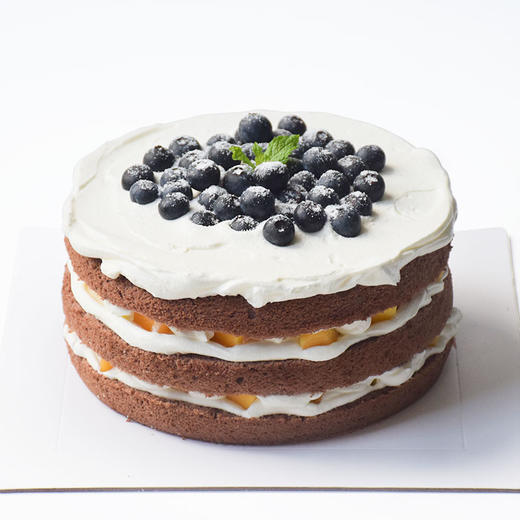 雪域蓝莓 商品图1