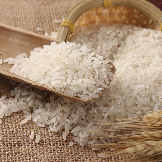 【9折】24年生态五常稻花香大米 |  未抛光 稻香浓郁 |包邮 * Wuchang Organic Rice | Self-Produced 商品图1