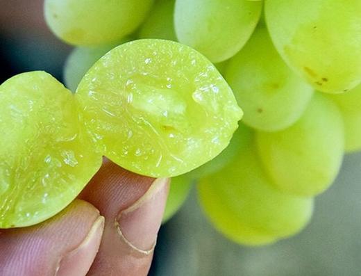 【吐鲁番无核白葡萄】预售