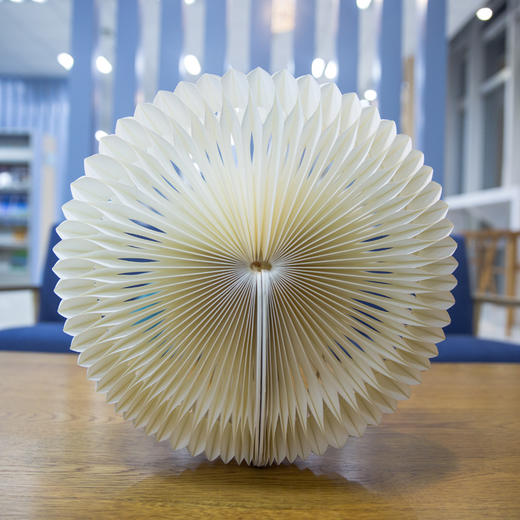 【十八纸创意风琴灯】 一个灯，可以变多种造型 商品图4