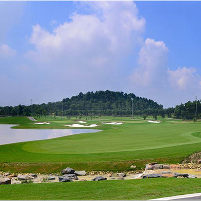 越南BRG传奇山丘高尔夫俱乐部 BRG Legend Hill Golf Club | 越南高尔夫球场 俱乐部 | 河内高尔夫 商品图2