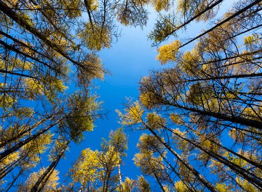 俄罗斯秋色双首都、金环醉美小镇（弗拉基米尔+苏兹达里+谢镇） 10天摄影团 商品图2