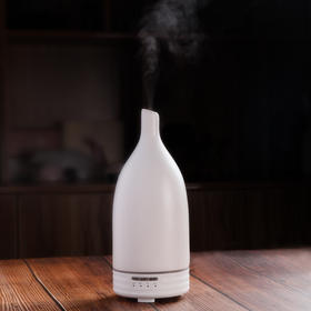 area aroma 酒店同款陶瓷长嘴水养仪香薰机加湿器家用卧室