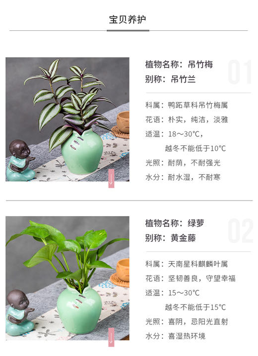 花之韵水培花卉唐韵系列 商品图1