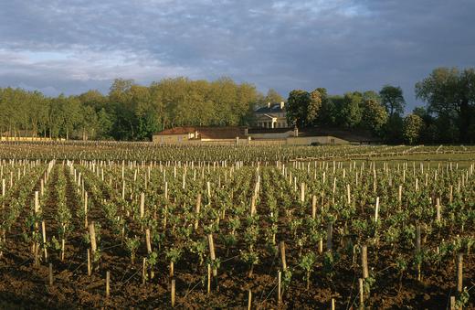 玛索庄园干红2014  Chateau Marsau, Cotes de Francs, France 商品图2