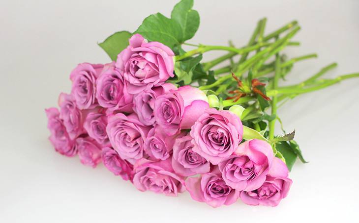 【今日秒杀】c级彩玫50扎1000支包航空件