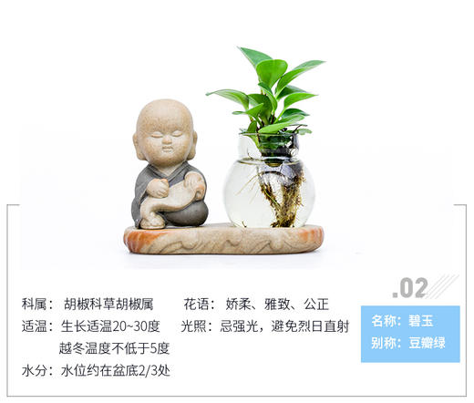 花之韵水培花卉琴棋书画系列 商品图3