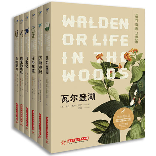 飞禽记   蓝知了 博物图鉴版系列    9787568040044 华中科技大学出版社 商品图1