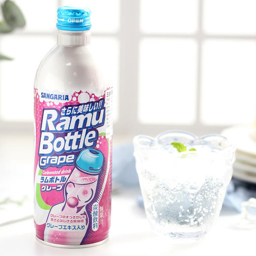 三佳利牌葡萄味碳酸饮料500ml 商品图2