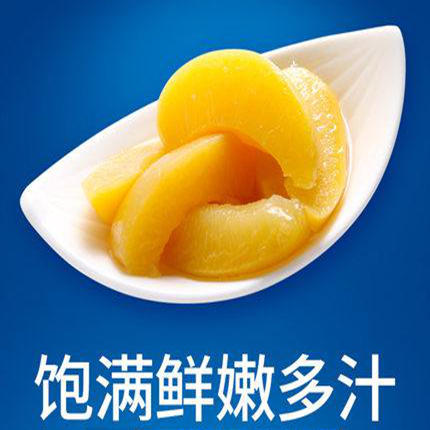 真心长寿黄桃罐头248g 商品图4