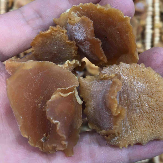 南港渔铺 珍珠鲍（大） 商品图0