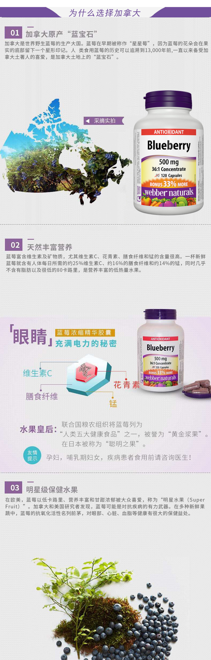 加拿大进口webber Naturals 伟博蓝莓精华浓缩胶囊 36 1浓缩蓝莓精华 护眼润眼 缓解眼疲劳