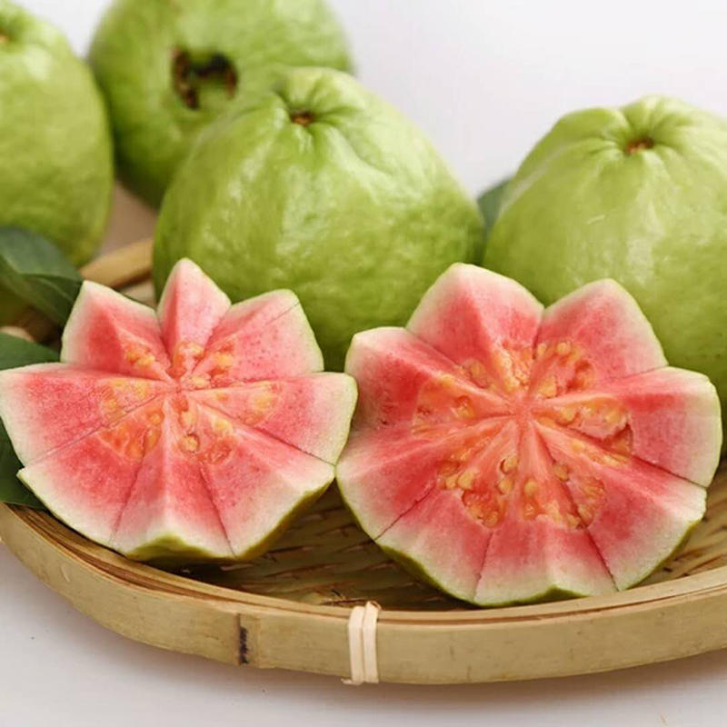 红心番石榴芭乐 清脆鲜甜 低脂低热量 低糖 糖尿病人也能吃的健康水果