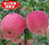 【4.5斤洛川红富士大果】顶端果业陕西洛川红富士苹果6枚大果产地直发 脆甜多汁 商品缩略图5