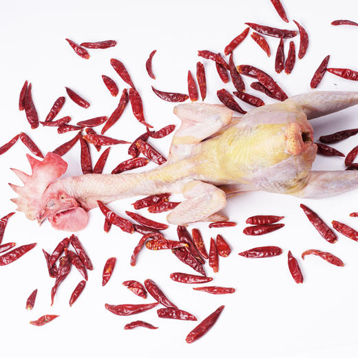 有机老公鸡 净重3斤左右 吃蔬菜/吃粮食/散养/当日屠宰/空运 商品图1