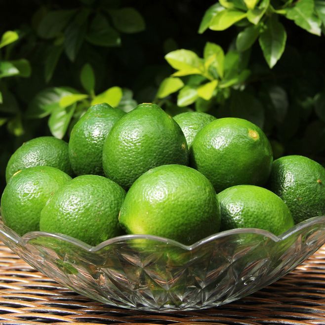 购买须知: 现摘青柠檬, 个头大小不一,介意勿拍