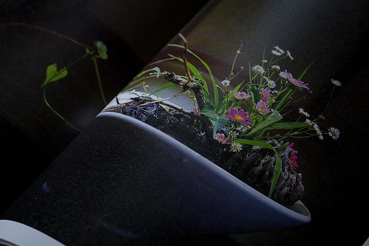 如你所见,由倪志翔老师创作的插花作品,附有步骤讲解,所用花材与容器.