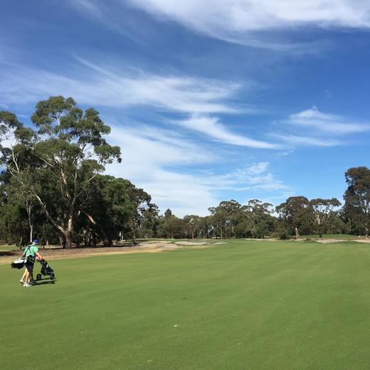 墨尔本大都会高尔夫俱乐部 Metropolitan Golf Club| 澳大利亚高尔夫球场 俱乐部 | 墨尔本高尔夫 商品图1