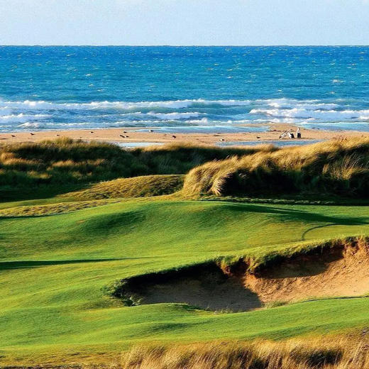 巴恩伯格高尔夫俱乐部-沙丘场 Barnbougle Dunes Golf Links| 澳大利亚高尔夫球场 俱乐部| 塔斯马尼亚高尔夫  | 世界百佳 商品图3