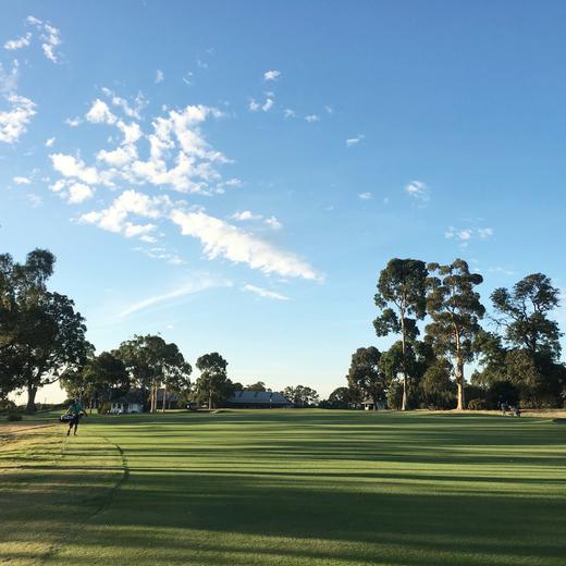 墨尔本大都会高尔夫俱乐部 Metropolitan Golf Club| 澳大利亚高尔夫球场 俱乐部 | 墨尔本高尔夫 商品图4
