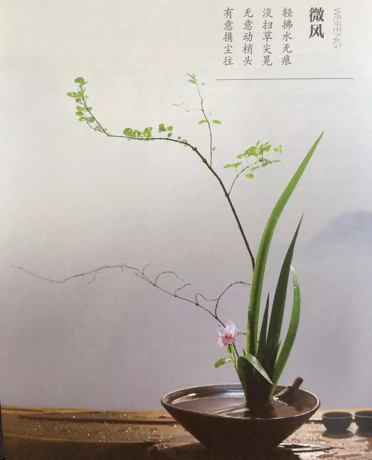 茶香记撒说茶席插花倪志翔著插花教程图文并茂