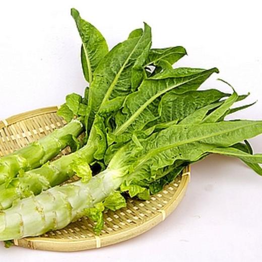 生态莴笋 | 肉质脆嫩 | 石嫣农场 * Eco-friendly Lettuce 商品图1