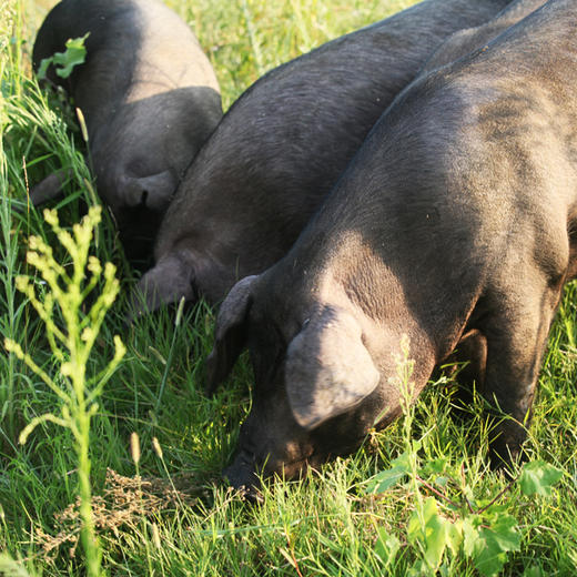 1000元礼品包 商品图7