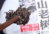 老同志181深山老树 商品缩略图6