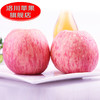 【试吃中果】陕西洛川红富士苹果6枚中果苹果(75mm-80mm) 小巧玲珑 一个刚刚好 商品缩略图3