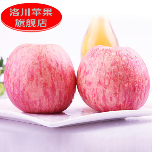 【试吃中果】陕西洛川红富士苹果6枚中果苹果(75mm-80mm) 小巧玲珑 一个刚刚好 商品图3