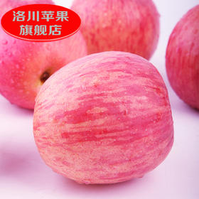【洛川红富士苹果】彩箱普装 陕西洛川红富士苹果水果新鲜24枚75mm整箱10斤通货装
